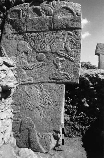 Göbekli Tepe Pillar 43